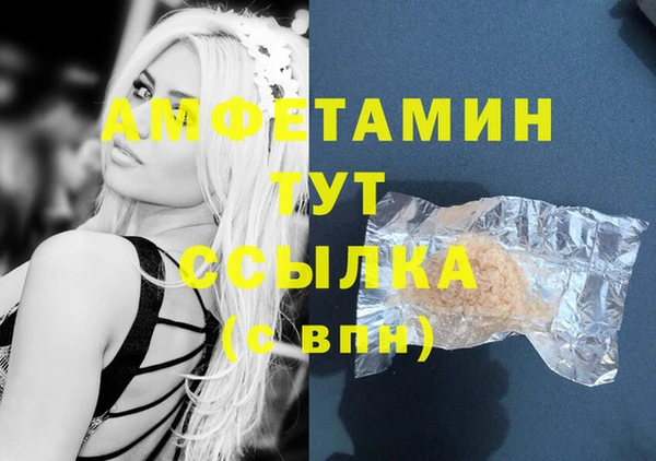 молекула духа Алексин